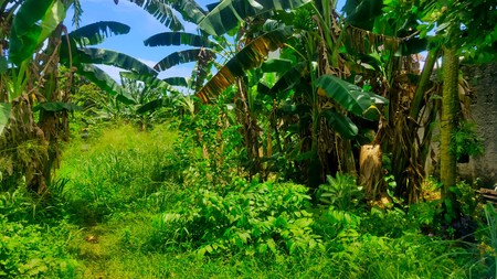 Kavling Siap Bangun di Serua Ciputat 15 Menit ke BSD 