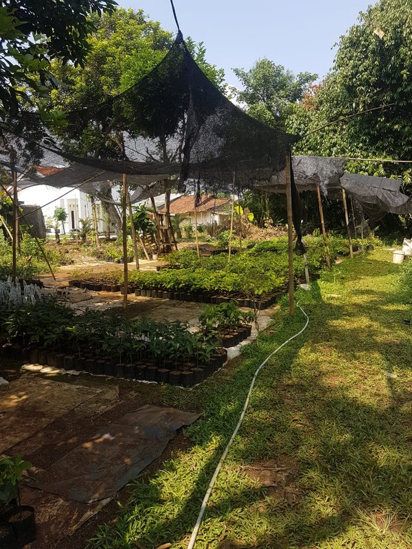 Di Jual Tanah lokasi di Kp Raya Mukti Citayam Sawangan Depok