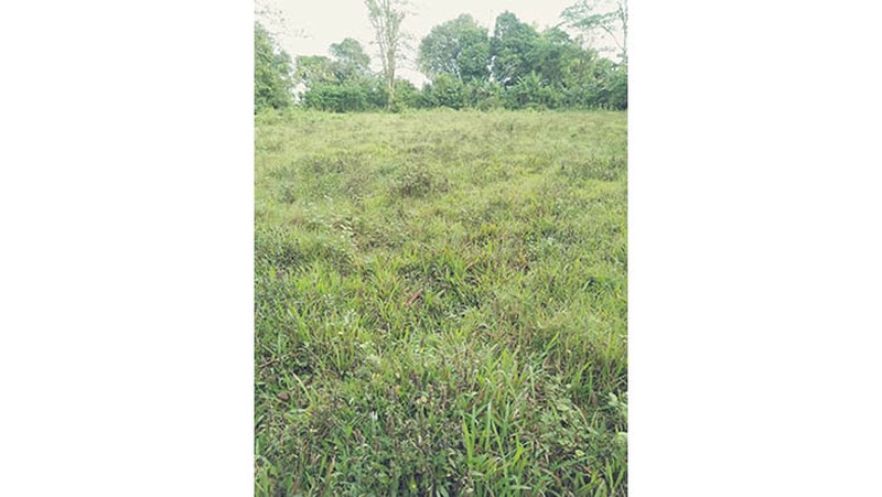 Dijual Kavling Sempur, Cikupa, tanggerang