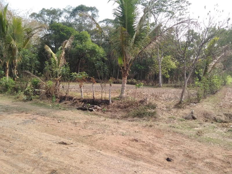 Dijual Kavling Mabes, Cileles, tanggerang