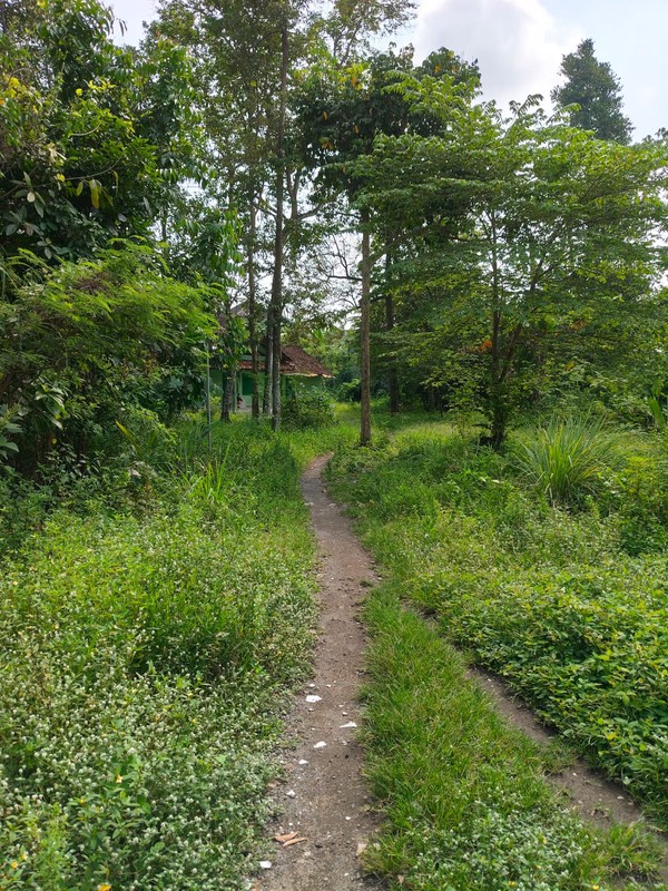 Lahan Strategis Siap Bangun 3 Menit Dari Jalan Magelang, Sendangadi, Mlati, Sleman