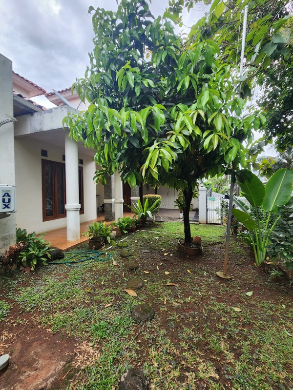 Rumah Luas & Nyaman dengan Halaman Depan Belakang di Duren Tiga
