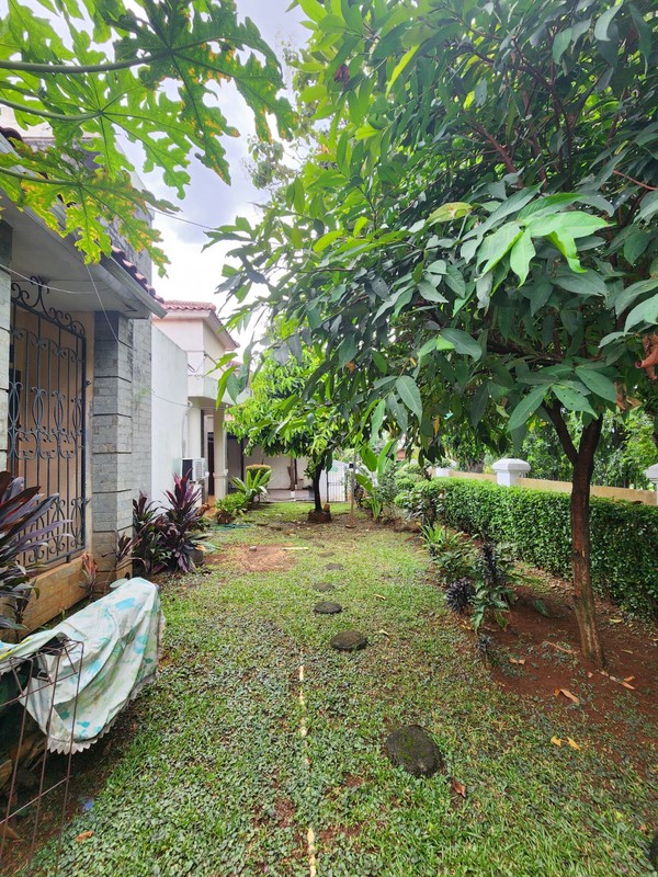 Rumah Luas & Nyaman dengan Halaman Depan Belakang di Duren Tiga