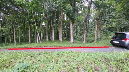 Investasi Lahan Strategis, Tanah Tegalan Lokasi di Pakem, Sleman