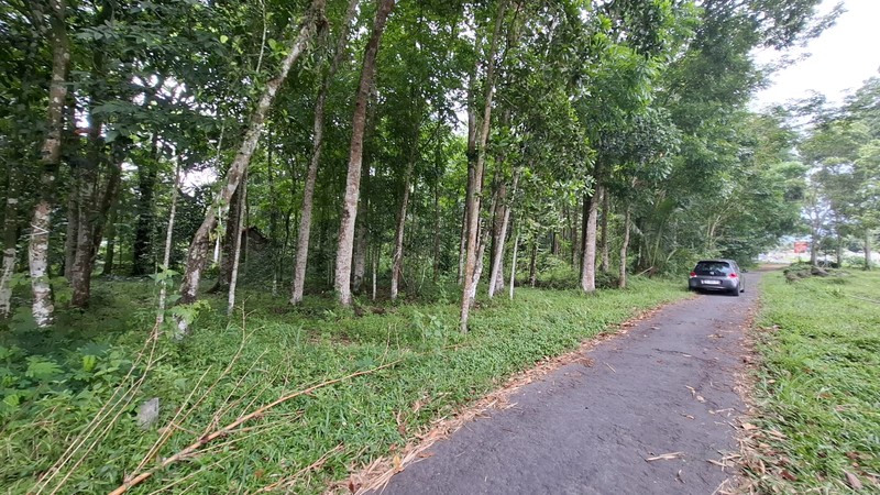Investasi Lahan Strategis, Tanah Tegalan Lokasi di Pakem, Sleman