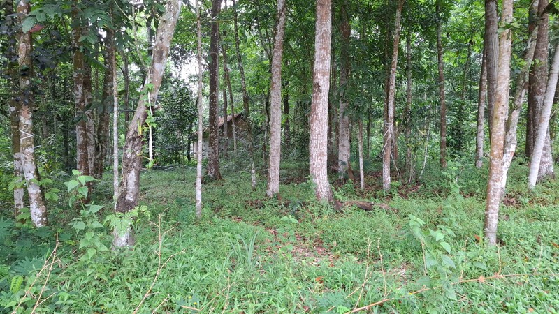 Investasi Lahan Strategis, Tanah Tegalan Lokasi di Pakem, Sleman