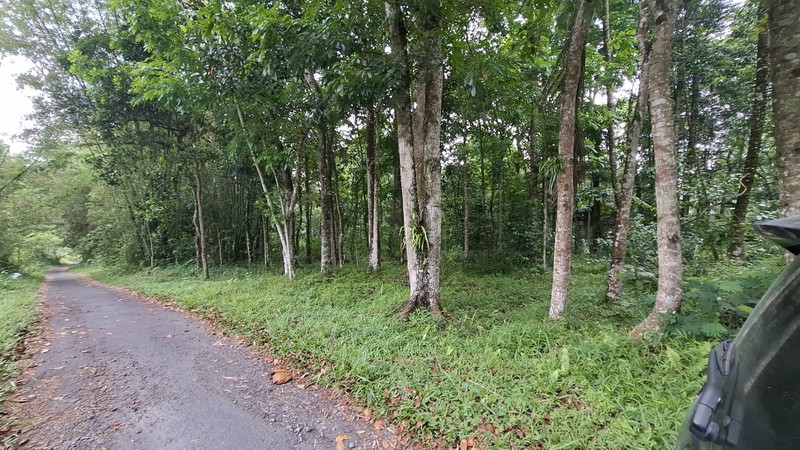 Investasi Lahan Strategis, Tanah Tegalan Lokasi di Pakem, Sleman