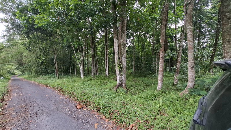 Investasi Lahan Strategis, Tanah Tegalan Lokasi di Pakem, Sleman