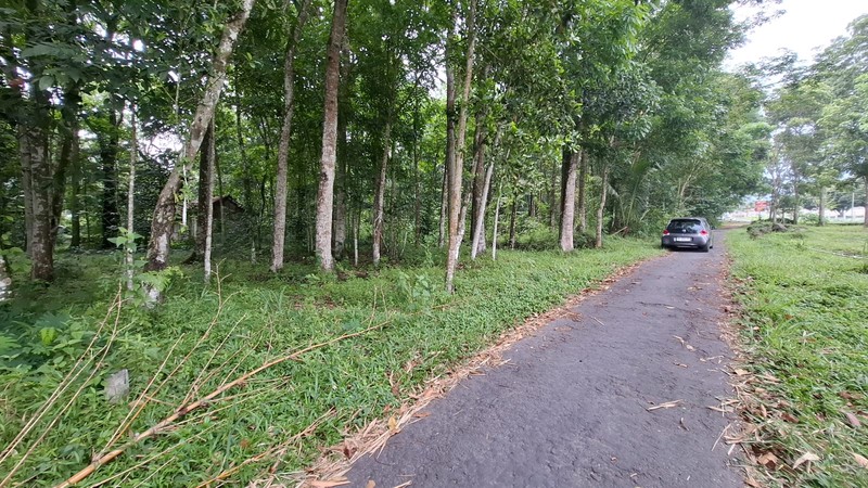 Investasi Lahan Strategis, Tanah Tegalan Lokasi di Pakem, Sleman