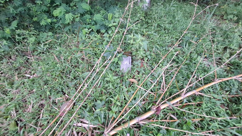 Investasi Lahan Strategis, Tanah Tegalan Lokasi di Pakem, Sleman