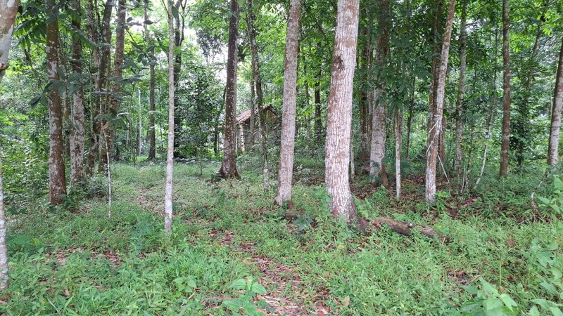 Investasi Lahan Strategis, Tanah Tegalan Lokasi di Pakem, Sleman