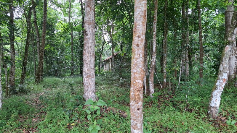 Investasi Lahan Strategis, Tanah Tegalan Lokasi di Pakem, Sleman