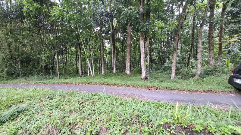 Investasi Lahan Strategis, Tanah Tegalan Lokasi di Pakem, Sleman