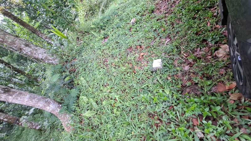 Investasi Lahan Strategis, Tanah Tegalan Lokasi di Pakem, Sleman