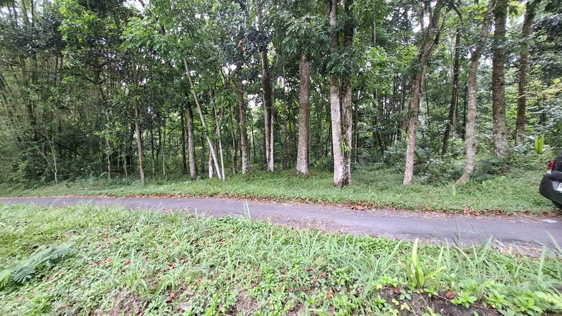 Investasi Lahan Strategis, Tanah Tegalan Lokasi di Pakem, Sleman