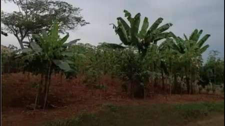 Kavling Siap Bangun Di Cluster Lembah Padi Utama Kemang Bogor