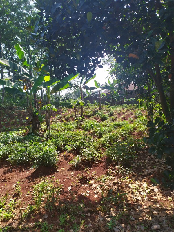 Kavling Siap Bangun Di Cluster Lembah Padi Utama Kemang Bogor