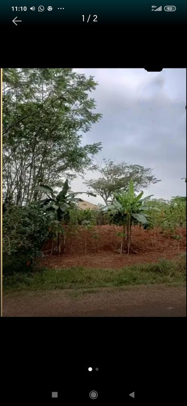 Kavling Siap Bangun Di Cluster Lembah Padi Utama Kemang Bogor