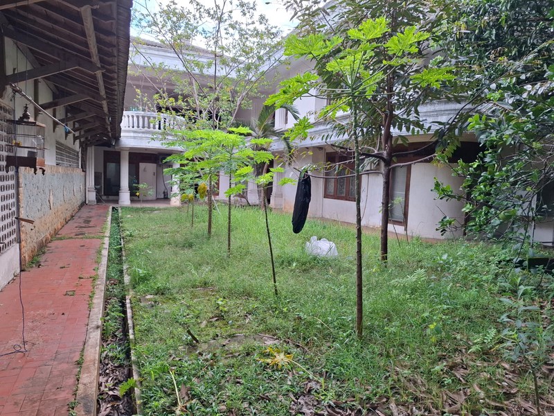 Rumah Asri Siap Huni di Jagakarsa No.18 - Lingkungan Tenang dan Nyaman