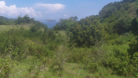 Land Freehold Expansive Countryside Labuan Bajo
