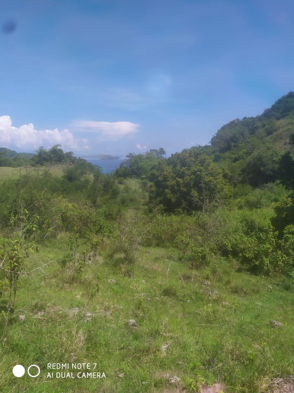 Land Freehold Expansive Countryside Labuan Bajo