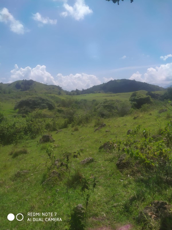 Land Freehold Expansive Countryside Labuan Bajo