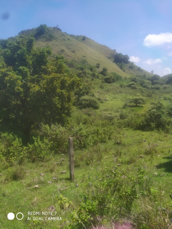Land Freehold Expansive Countryside Labuan Bajo