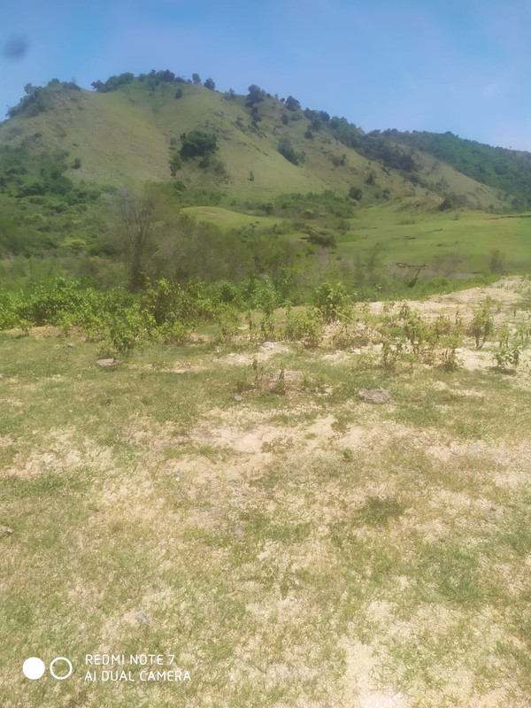 Land Freehold Expansive Countryside Labuan Bajo
