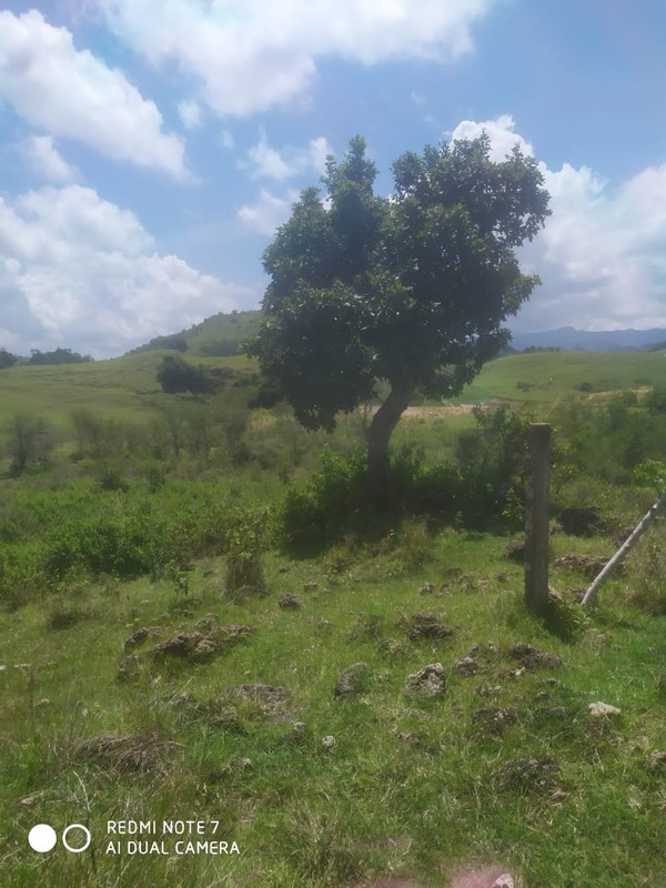 Land Freehold Expansive Countryside Labuan Bajo
