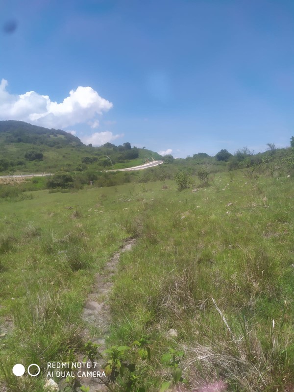 Land Freehold Expansive Countryside Labuan Bajo