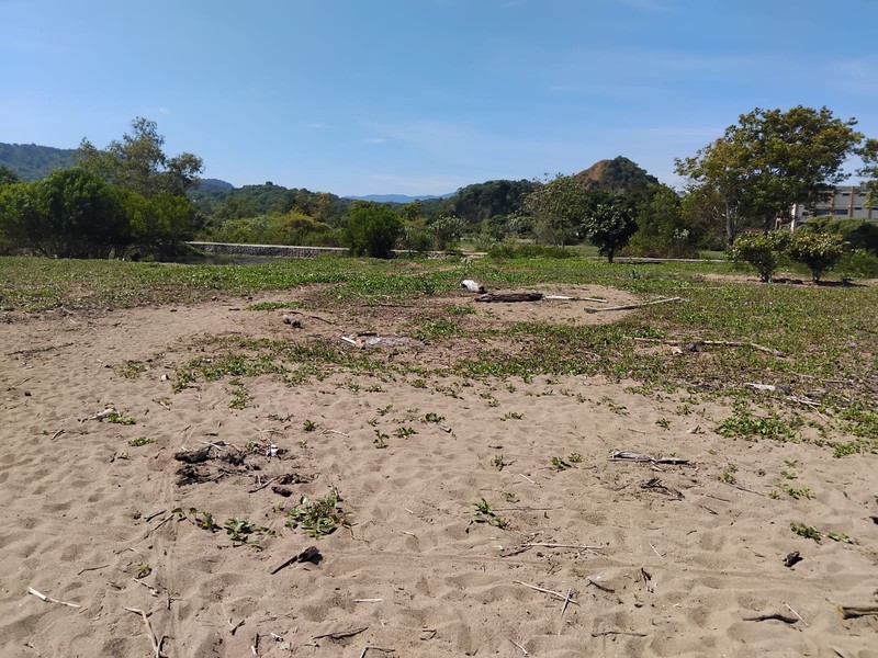 Land Freehold Beach Front Gorontalo Labuan Bajo