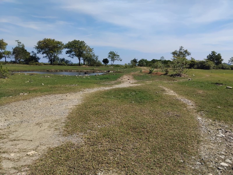 Land Freehold Beach Front Gorontalo Labuan Bajo