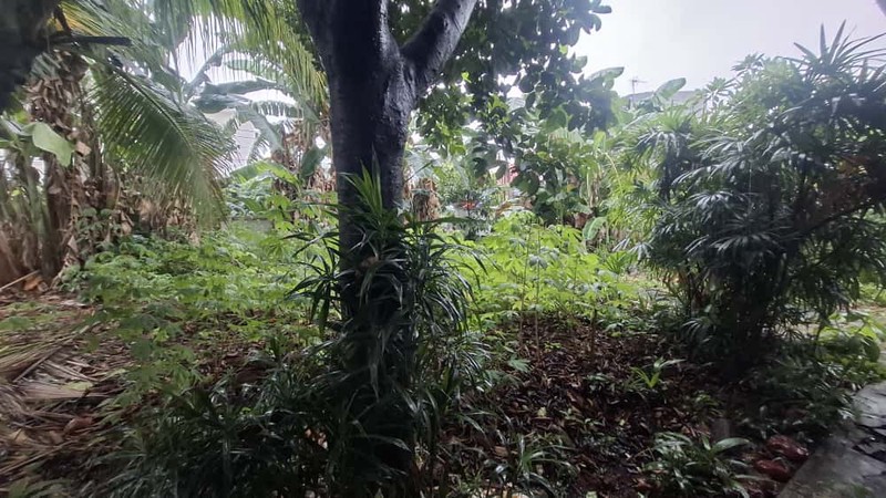 Kavling/ Tanah di Hoek Komplek Pertamina Duren Tiga