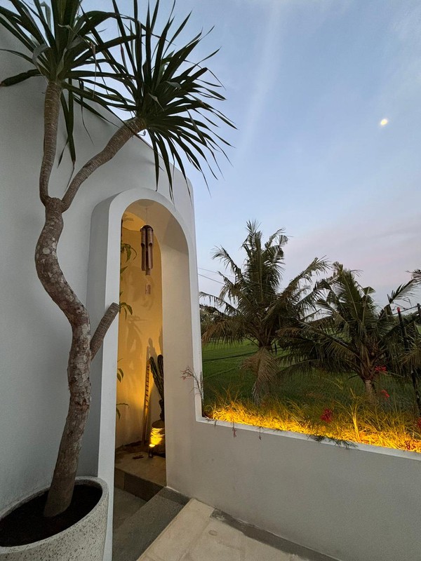 Investasi Premium Villa Furnishe 5 Kamar Tidur & Kolam Renang Di Lokasi Donotirto, Kasihan