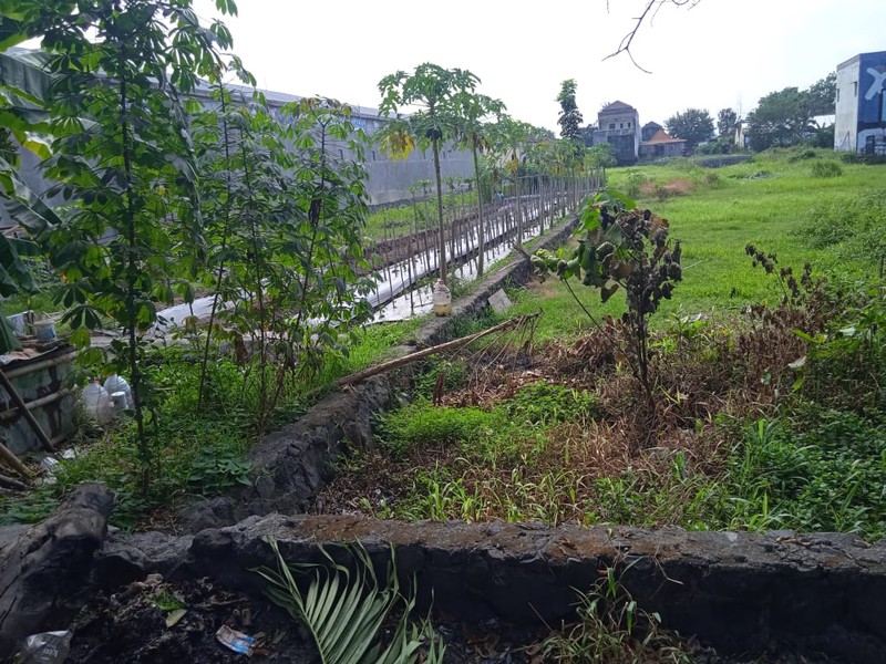 Dijual Tanah Strategis di daerah Tirtonirmolo, Kasihan - Bantul