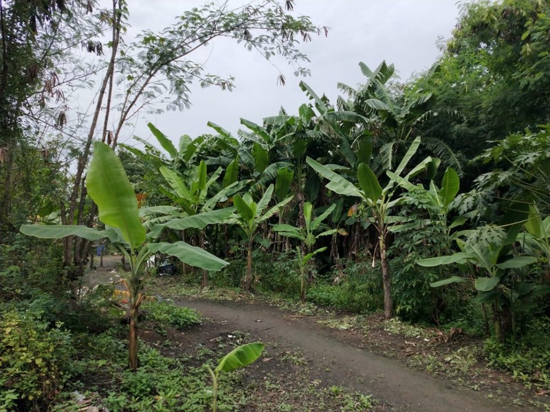 Kavling Rorotan Cilincing Jakarta Utara Cocok u Gudang Sekolah Dijual