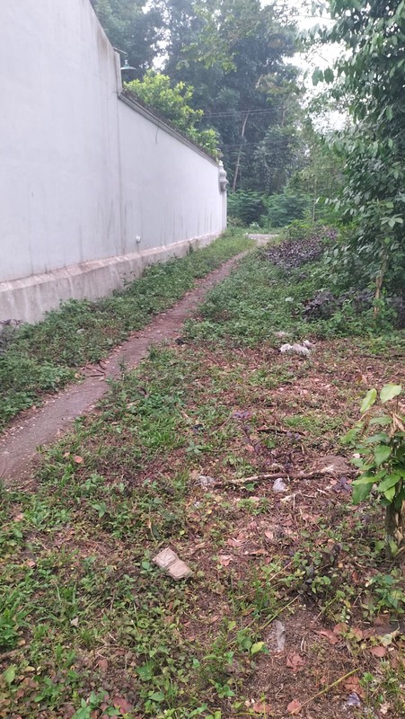 Dijual Tanah Strategis di Sardonoharjo Ngaglik Sleman - Dekat Jalan Kaliurang & Kampus UII