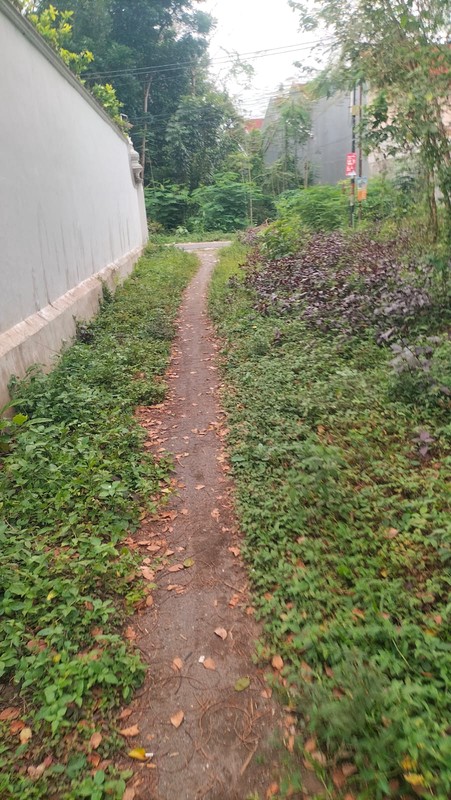 Dijual Tanah Strategis di Sardonoharjo Ngaglik Sleman - Dekat Jalan Kaliurang & Kampus UII