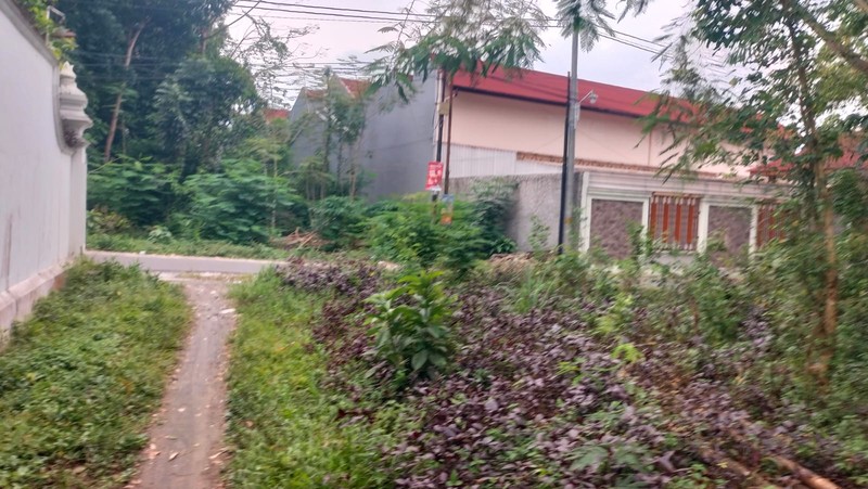 Dijual Tanah Strategis di Sardonoharjo Ngaglik Sleman - Dekat Jalan Kaliurang & Kampus UII