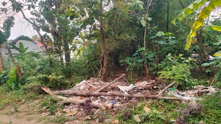 Dijual Tanah Strategis di Sardonoharjo Ngaglik Sleman - Dekat Jalan Kaliurang & Kampus UII