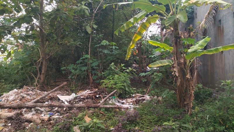 Dijual Tanah Strategis di Sardonoharjo Ngaglik Sleman - Dekat Jalan Kaliurang & Kampus UII