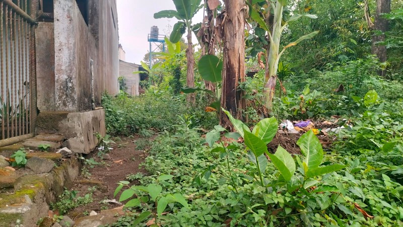 Dijual Tanah Strategis di Sardonoharjo Ngaglik Sleman - Dekat Jalan Kaliurang & Kampus UII