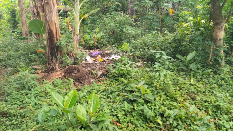 Dijual Tanah Strategis di Sardonoharjo Ngaglik Sleman - Dekat Jalan Kaliurang & Kampus UII