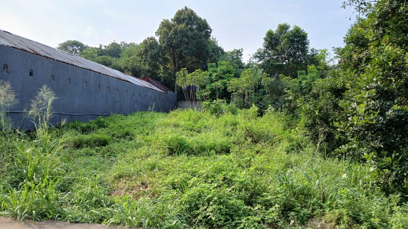Kavling Siap Bangun dan Lokasi Strategis @Bakti Jaya Setu, Tangerang Selatan
