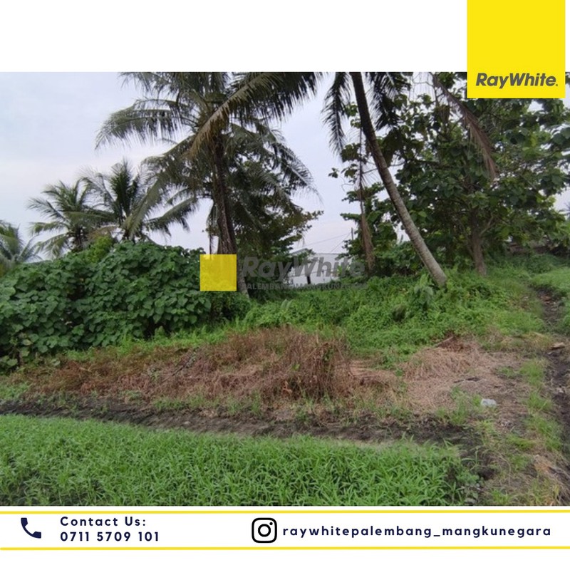 DIJUAL TANAH TINGGI BEBAS BANJIR DAN SIAP BANGUN