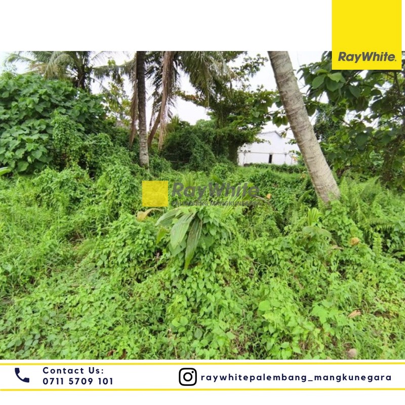 DIJUAL TANAH TINGGI BEBAS BANJIR DAN SIAP BANGUN