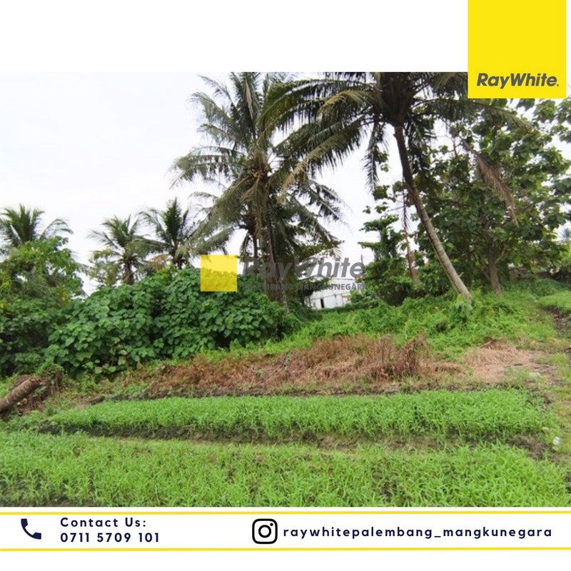 DIJUAL TANAH TINGGI BEBAS BANJIR DAN SIAP BANGUN