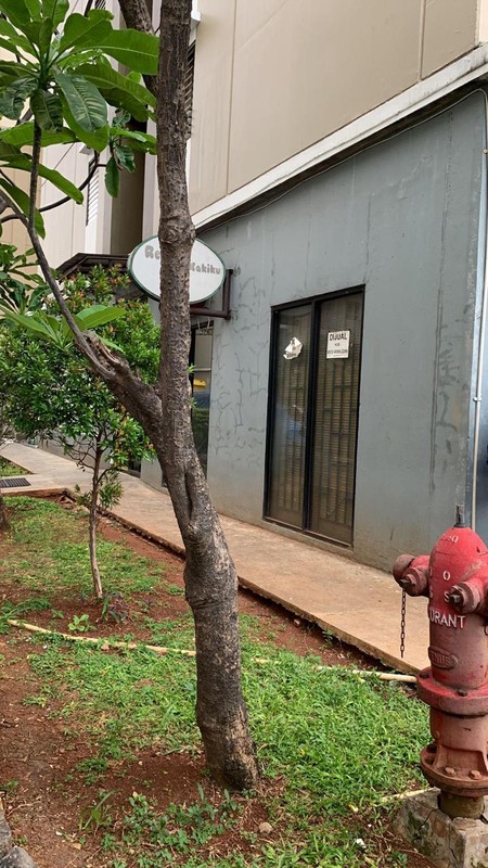 Kios Apartemen Di Daerah Duren Sawit, Jakarta Timur