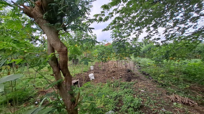 Dijual Tanah Seluas 1701 Meter Persegi Lokasi Strategis di Jl. Adi Sucipto, Depok, Sleman