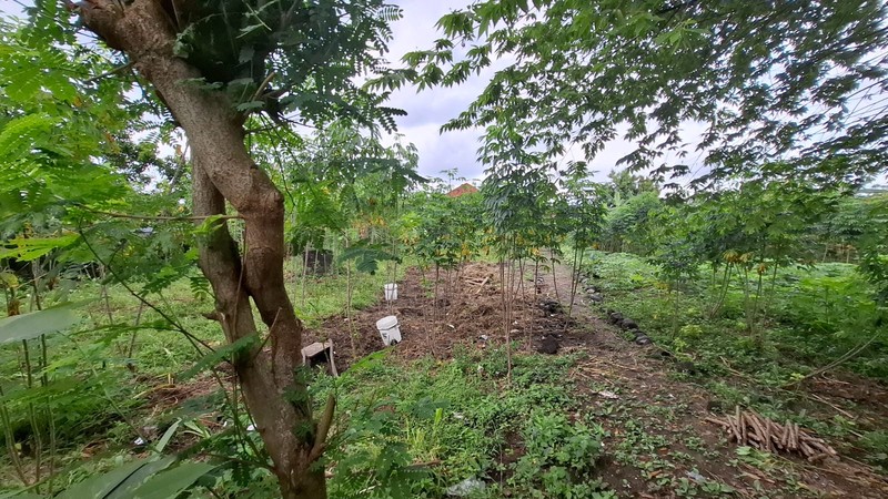 Dijual Tanah Seluas 1701 Meter Persegi Lokasi Strategis di Jl. Adi Sucipto, Depok, Sleman